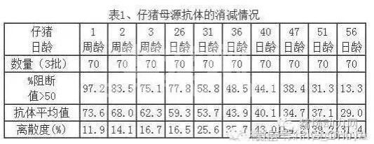怎么抓准仔猪猪瘟首免最佳时机，可以参考这篇文章
