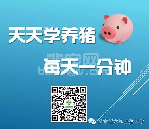 天天学养猪，每天一分钟——什么是怒责？