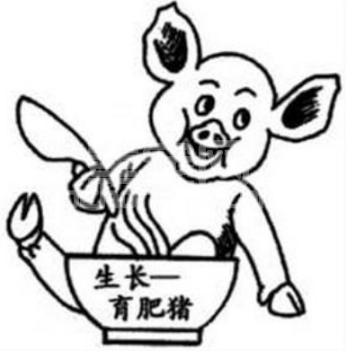 如何养好育肥猪？这里有好方法