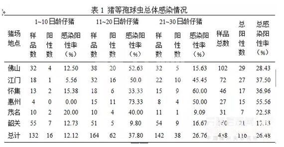 猪等孢球虫病感染率部分猪场高达100%，仔猪感染久治不愈
