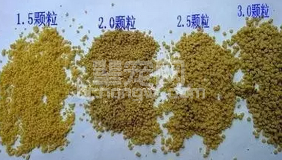 对照看看，饲料方面的这些问题是否被忽视了？