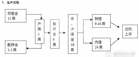 万头猪场需要多少员工？怎么管理？这里有你要的答案