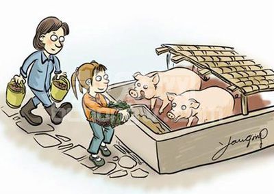 家庭养猪不赚钱的根本原因，值得养猪户收藏的好文章