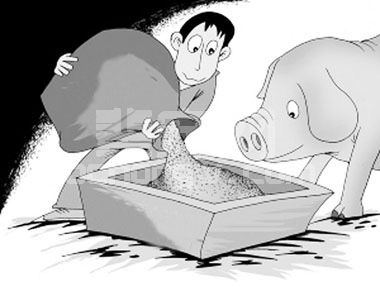 谯仕彦：减少抗生素使用的日粮配方比替抗产品更靠谱