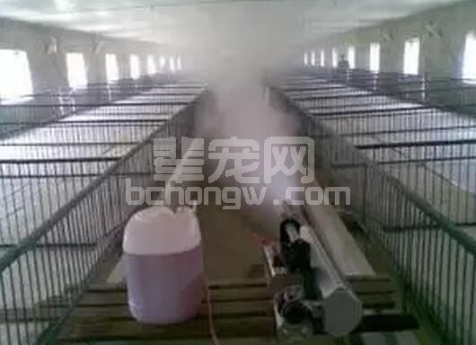 消毒是提高猪场群体稳定性的保护墙，如何能最大程度的发挥消毒的作用呢？