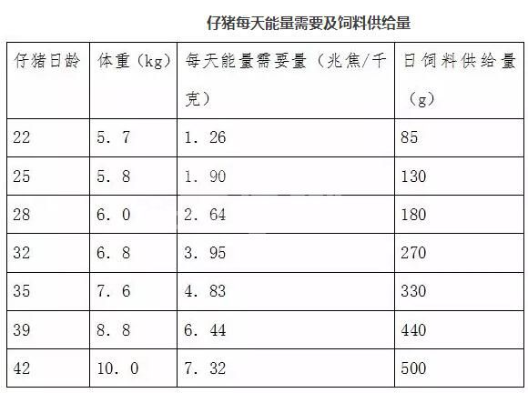 详解仔猪的营养需要，养猪人必读！