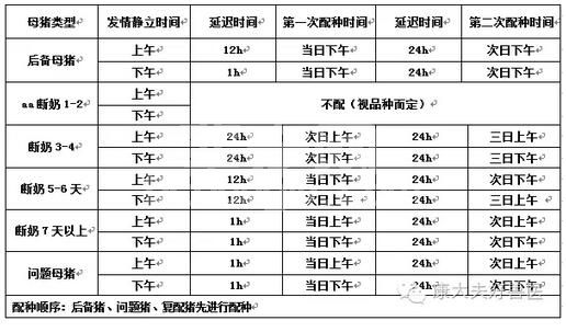 母猪查情与输精操作步骤