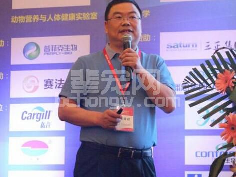 王永东博士：电解质平衡在饲料中的应用研究