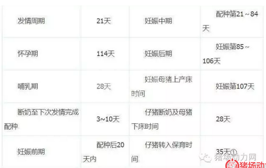 记好一本账，管好一群猪 （很实用）