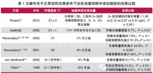 夏天到来了，养猪人都要学习一下泌乳母猪抗热应激的营养措施