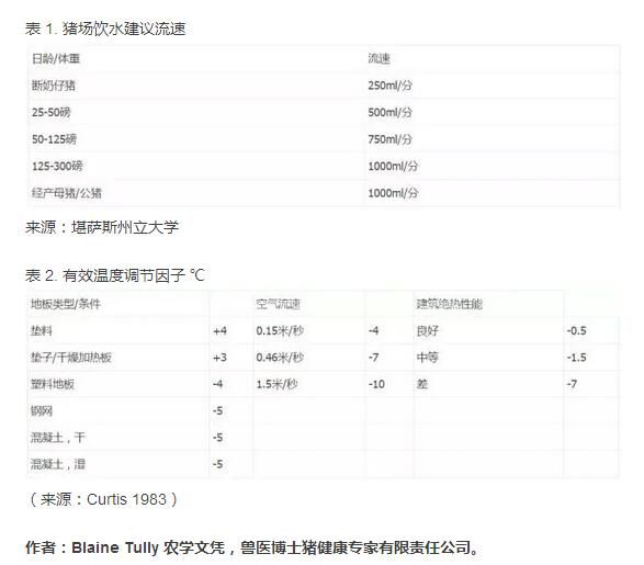 断奶仔猪管理实践：基本方面一定要到位！