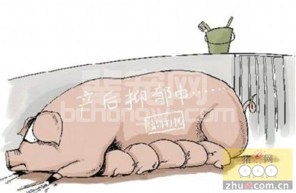 夏季全面解析母猪产后不食症