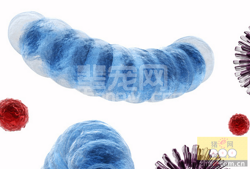 研究证实病毒的空气传播