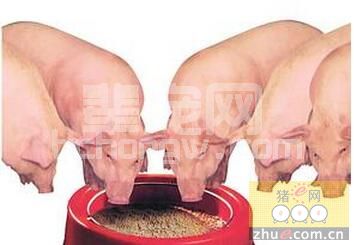 豆粕的选择与质量鉴别，怎样鉴别玉米与豆粕的质量？