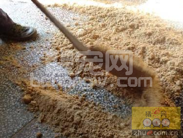 自配猪饲料一定要把握好“五关键”