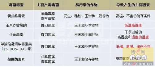 烦！霉菌毒素不只在南方存在，北方也一样有......