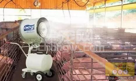 不闹口蹄疫就只不知道消毒的重要性：养猪消毒疏忽多数都是劳民伤财的事情！