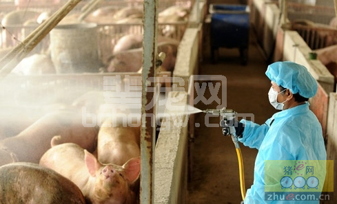 养猪场怎么消毒病菌才能降到最低？
