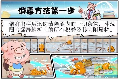 养猪的同行们，非常实用的“图解”猪群清栏方法！