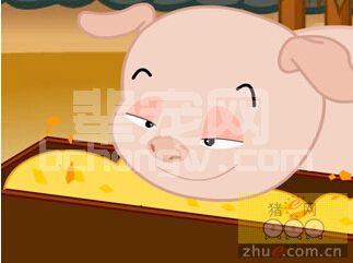 给仔猪提早开食有什么好处？怎样给仔猪开食？