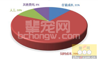 养殖户都来瞅瞅，规模的、散户的养殖成本收益计算