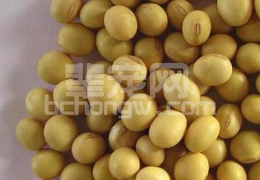 孙国亮：6招识别去皮豆粕掺假