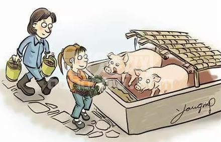 母猪产前要控料吗？不能再错了！
