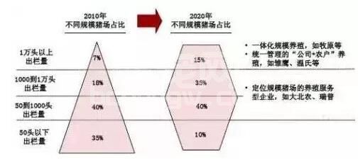 在养猪圈里混了这么多年，今天终于发现这才是中国的养猪模式！