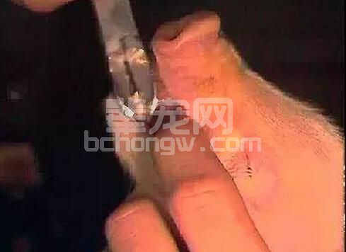 生了为啥不养呢？浅谈母猪产后拒绝哺乳的原因和处理措施