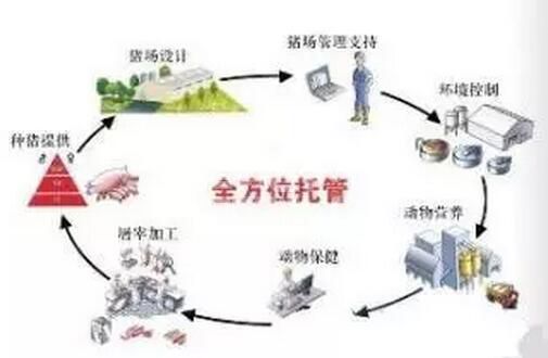让你读懂中国养猪场托管或服务模式的现在和未来！！