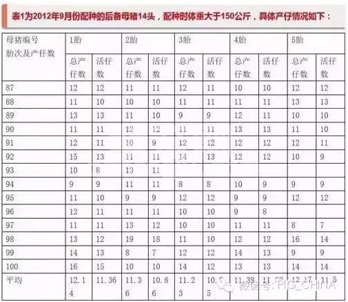 后备母猪配种体重大小直接影响到后续繁殖性能的发挥