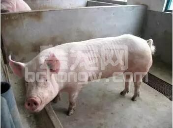 春季最常见异常现象及分析应对