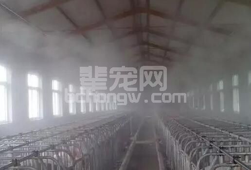 怎样提高猪场消毒剂的使用效果