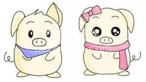 初生仔猪伪狂犬疫苗滴鼻效果分析