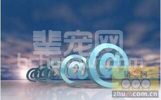 猪场采购方式正在这样变化着，带给你怎样的思考？