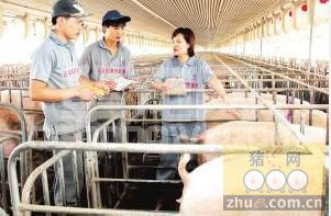 只要做过畜牧兽医工作的即可当生产场长？你有中招吗？