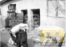多年养猪人＂浅谈＂养猪技术的上的那些事儿