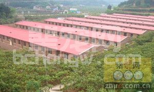 谈谈生猪标准化规模养殖场建设项目的管理