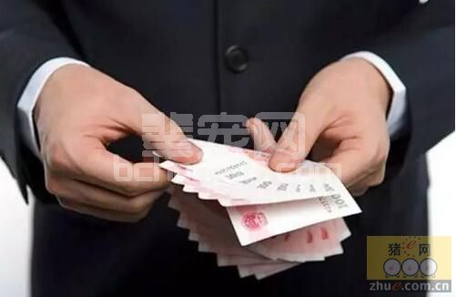 醒醒吧，看到这些数据，才知道猪场的钱都浪费在哪儿了！