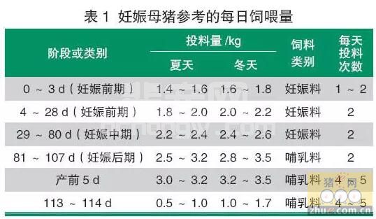 集约化猪场妊娠母猪的饲养管理
