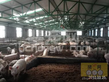 雾霾天气对养殖业的影响