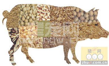 谈谈豆粕、玉米的简易质量鉴定方法
