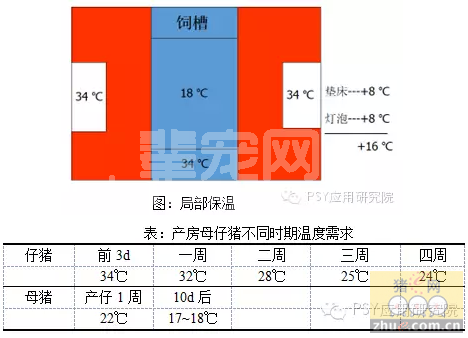 最实用的仔猪腹泻防控+精细化管技术理