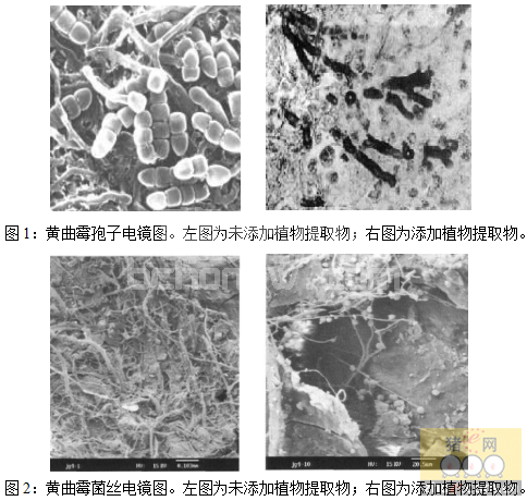 新霉吸安：霉菌毒素综合性解决方案