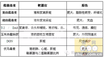 脱霉剂如何选择？您用的脱霉剂是最好的吗？