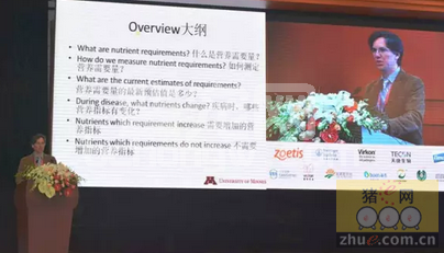 佩卓·尤罗拉：生病的动物的营养需要量是越多越好吗？