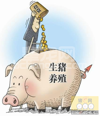养猪人的基本技能“三看一逐渐”