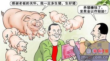 善待员工是养猪致胜的法宝