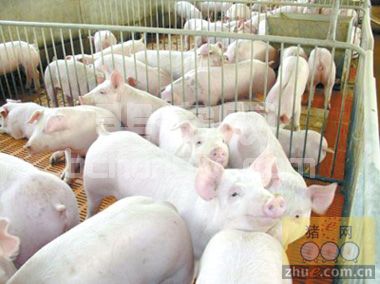 “彩虹”台风来袭，望各养殖户做好防御工作