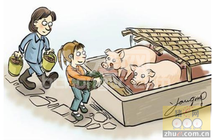 养猪人都应该知道的秘笈